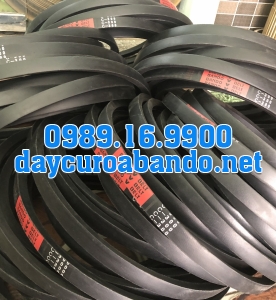 V-BELT C300