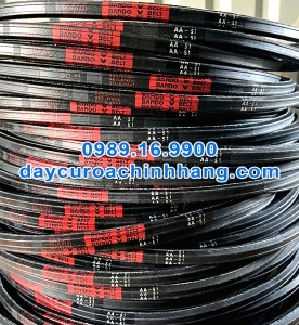 Dây curoa AA-51