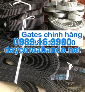 DÂY CUROA GATES TP5M CHÍNH HÃNG