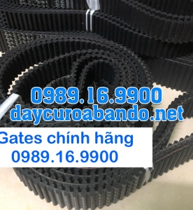 DÂY HAI MẶT RĂNG TP5M GATES
