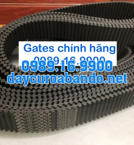 DÂY CUROA GATES TP8M CHÍNH HÃNG 