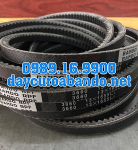 BANDO RPF3660