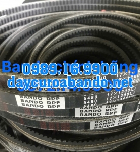 BANDO RPF5480