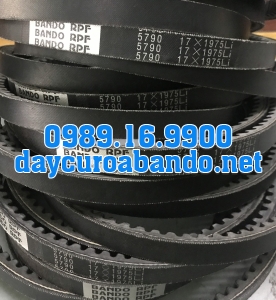 BANDO RPF5790