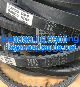 BANDO RPF5880