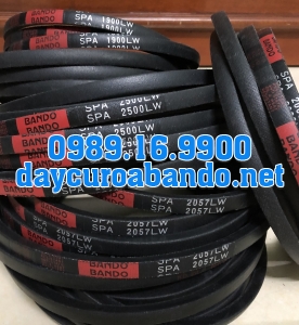 DÂY CUROA SPA HIỆU BANDO