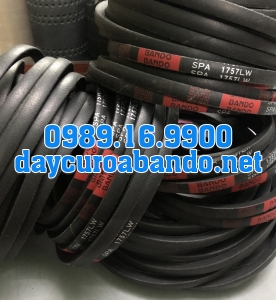 DÂY CUROA THANG SPA BANDO