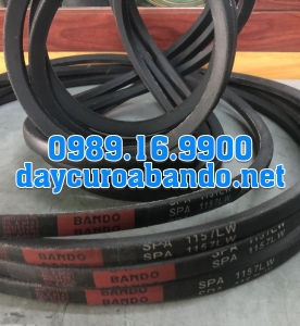 DÂY CUROA SPA1157
