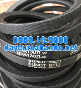 DÂY CUROA SUNDT SPA1307