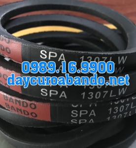 DÂY CUROA SPA1307