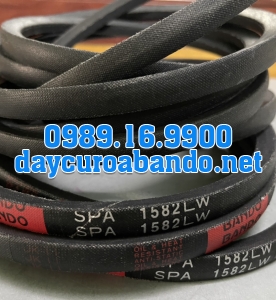 DÂY CUROA SPA1582