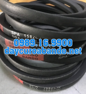 DÂY CUROA SPA1585
