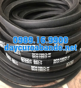 DÂY CUROA SUNDT SPA1657