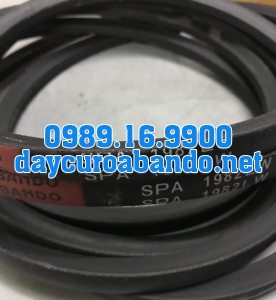 DÂY CUROA SPA1982