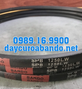 DÂY CUROA SPB1250