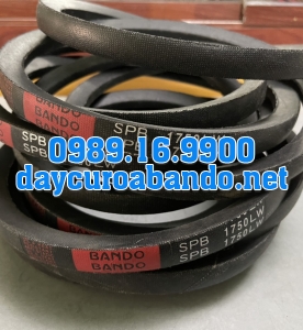 DÂY CUROA SPB1750