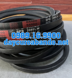 DÂY CUROA SPB2080
