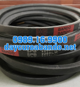 DÂY CUROA SPB2260