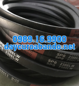 DÂY CUROA SPB2300