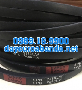 BANDO SPB2560