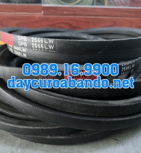 DÂY CUROA SPB2566