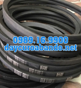 DÂY CUROA SUNDT SPB3150