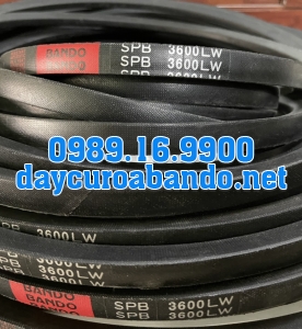 BANDO SPB3600