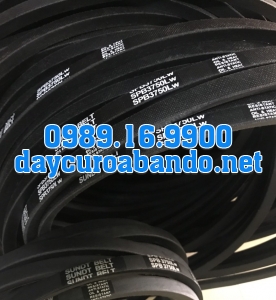 DÂY CUROA SPB HIỆU SUNDT
