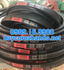 BANDO SPB3750