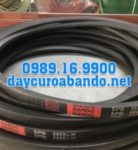 DÂY CUROA SPB3825