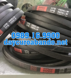 DÂY CUROA SPB4950