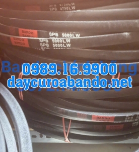 DÂY CUROA SPB5000