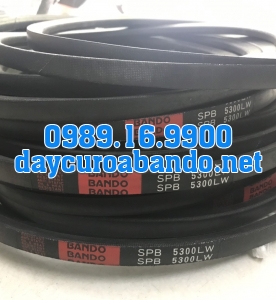 BANDO SPB5300
