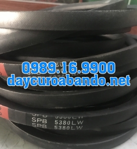 DÂY CUROA SPB5380