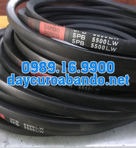 DÂY CUROA SPB5500