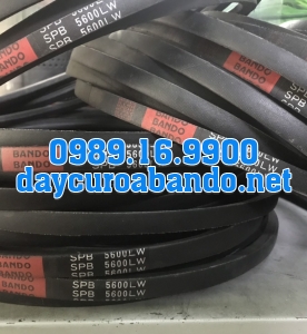 DÂY CUROA SPB5600
