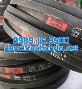 BANDO SPB5800