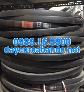 BANDO SPC11800