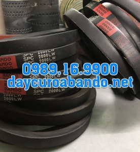 DÂY CUROA SPC2000