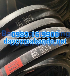 DÂY CUROA SPC5300