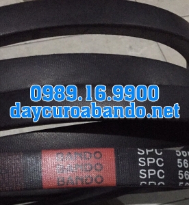 DÂY CUROA SPC5600