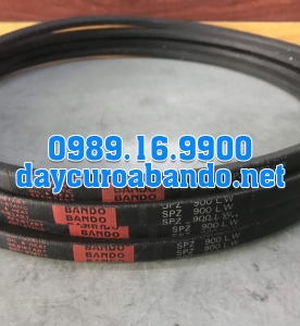 DÂY CUROA SPZ900