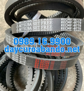 DÂY ĐAI RĂNG MITSUBA