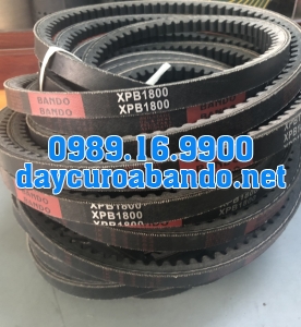 BANDO XPB1800