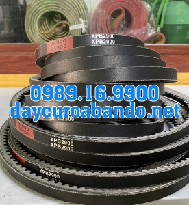 BANDO XPB2900