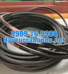 BANDO XPZ1137
