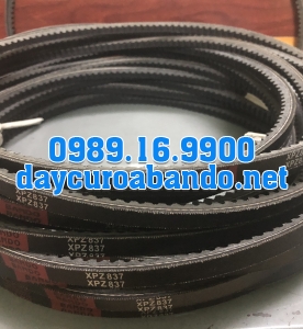 BANDO XPZ837