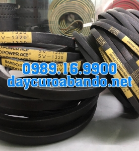 DÂY CUROA THANG 5V
