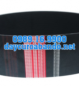 BANDO RIB ACE PL