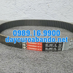 DÂY CUROA GATES 800-8MGT